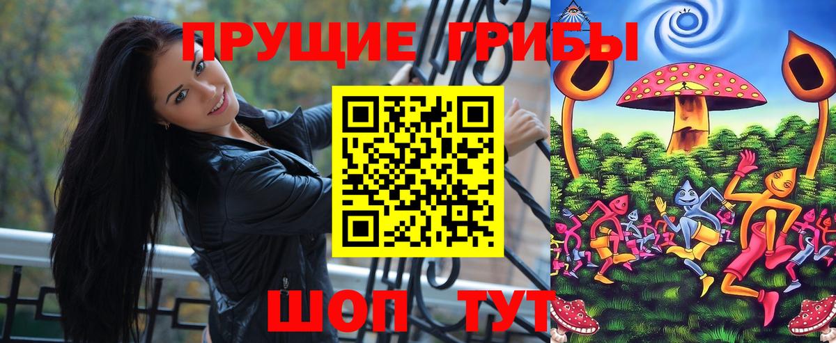 Псилоцибиновые грибы Psilocybine cubensis  Вход с VPN  Ликино-Дулёво 